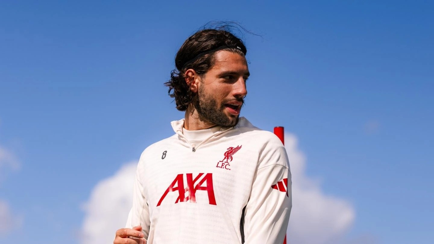 后卫, 希望周六德, 们已经准备 后卫, 希望周六德, 们已经准备